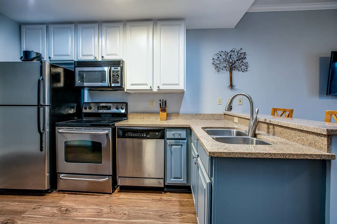 1 bed, 667 sqft, $2,000 — Photo 2