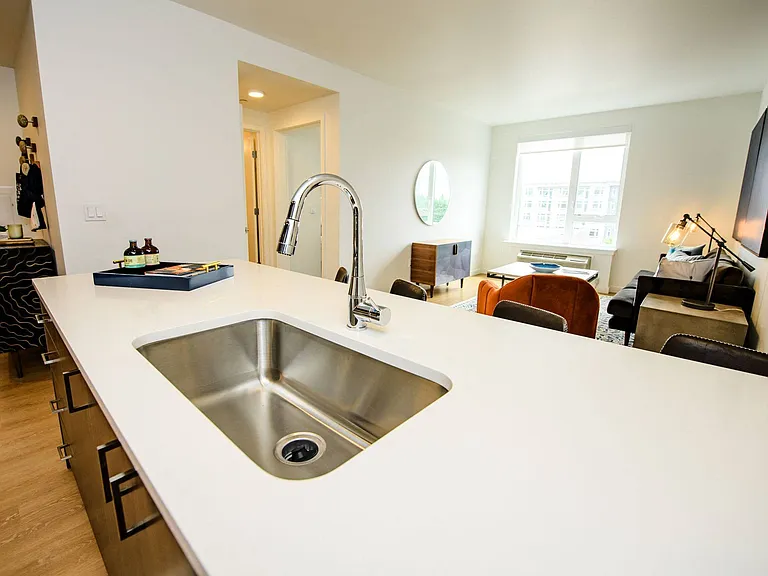 Everything AND the kitchen sink.