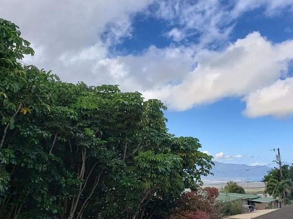 Views off back lanai