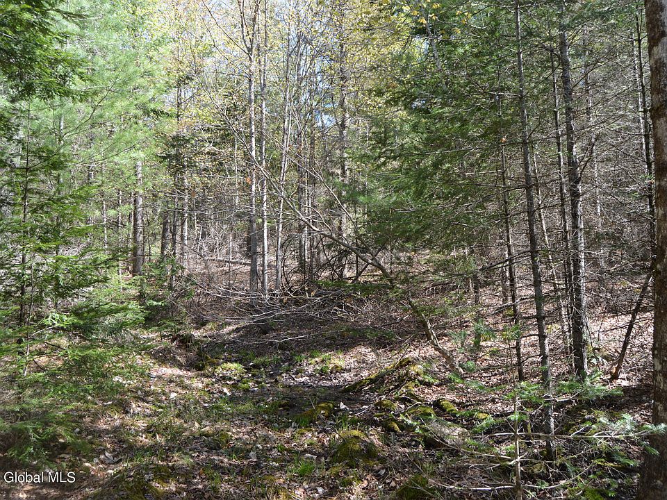 0 Adirondack Heights Rd Chestertown NY Zillow