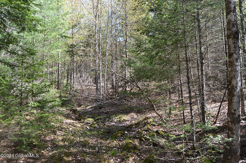 5th image of 00 Adirondack Heights Rd Lot 7