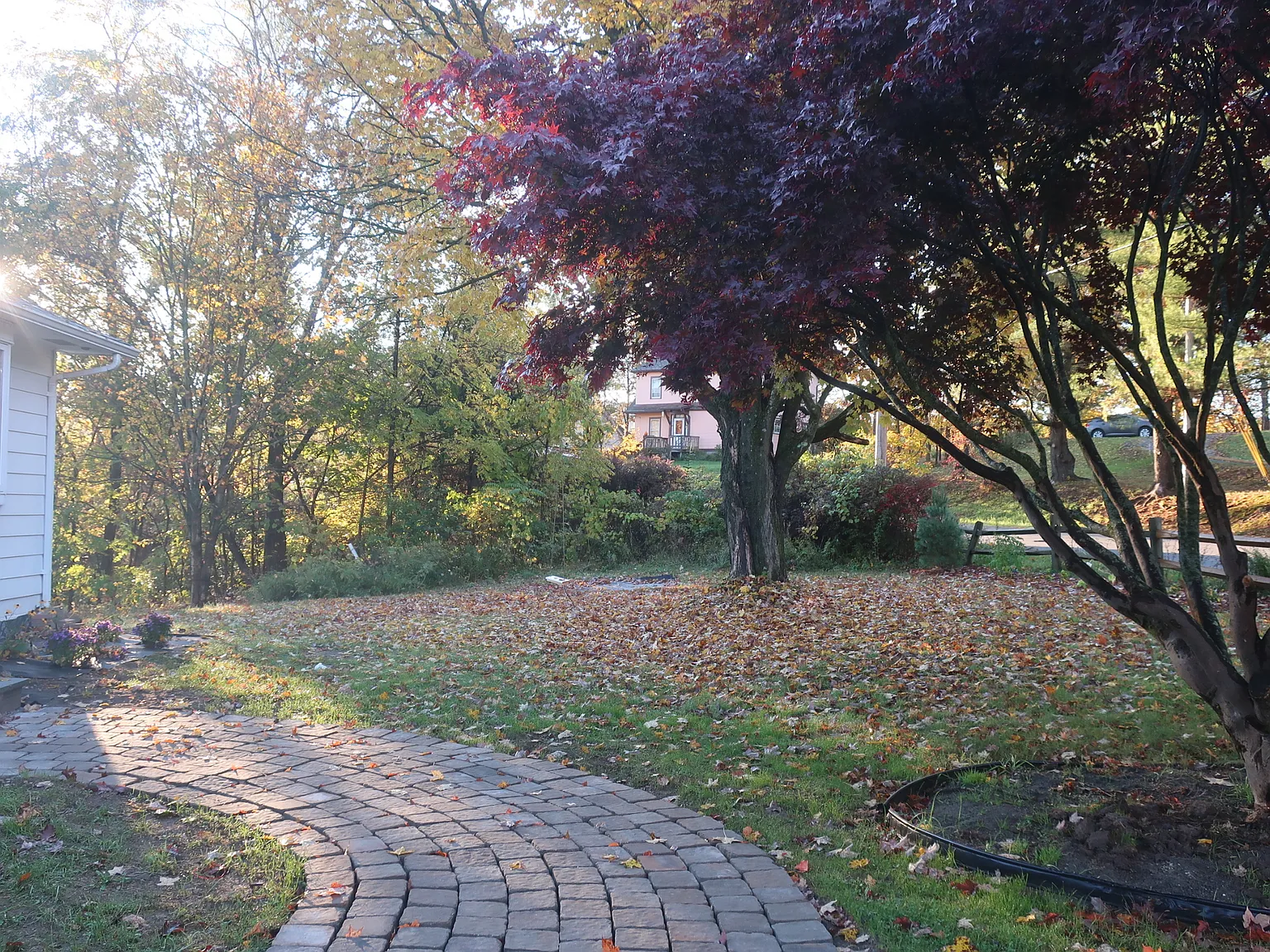 2 bed, 1.5 bath, 1790 sqft, $2,500 — Photo 4