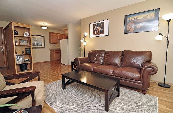 Spacious Living Room