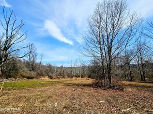 170 Zion Rd, Newfoundland, PA 18445