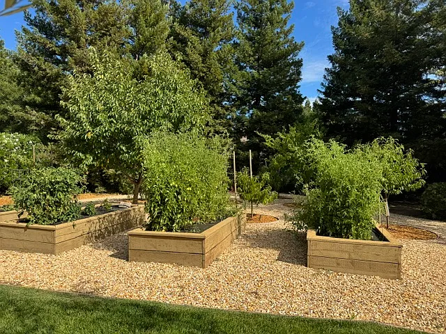 Reynolds Dr — Photo 39