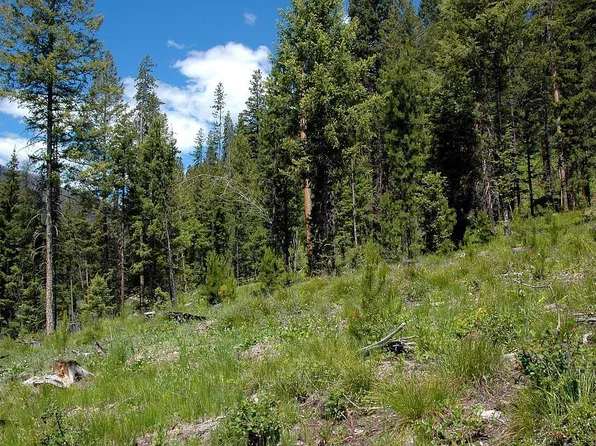 0 Kokopelli Dr #21, Gibbonsville, ID 83463