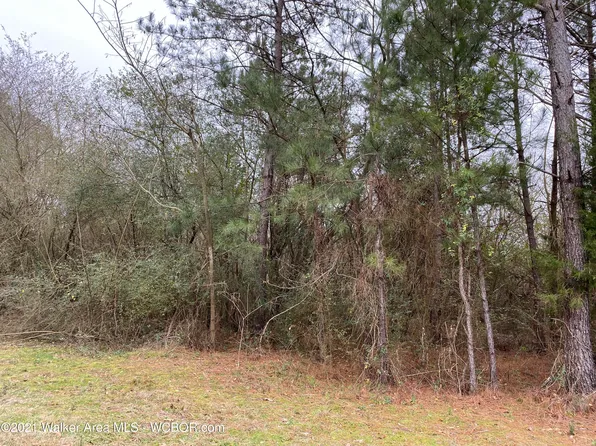 2579 Red Rock Dr, Warrior, AL 35180