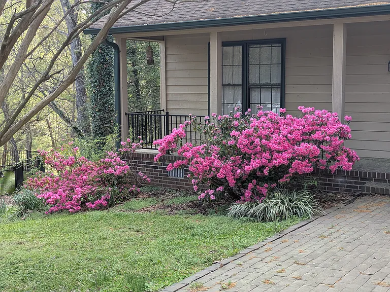 216 S Lady Slipper Ln — Photo 3