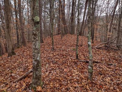 Highland Springs Rd, Blaine, TN, 37709