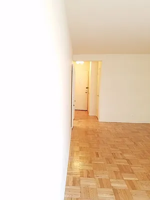 Rented by Manhattan Apartment Organization | media 9