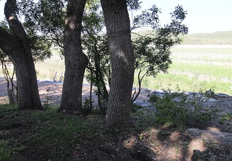 955 Faurie Rd #CABIN — Photo 16