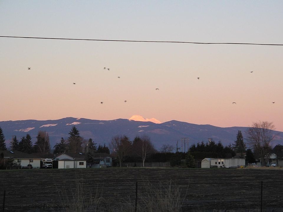 Territorial Views