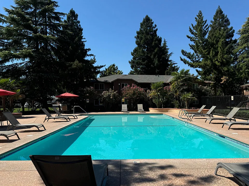 Pine Tree Apartments