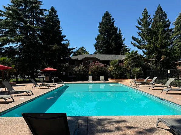 Pine Tree Apartments