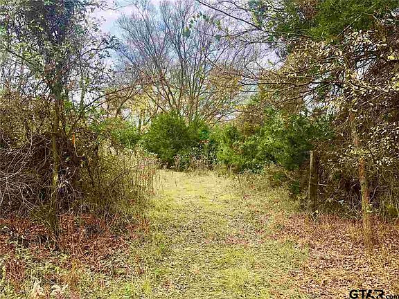 3rd image of 15ACRES2 County Road 3344