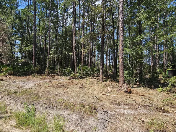 323 Baker Creek Rd, Nahunta, GA 31553
