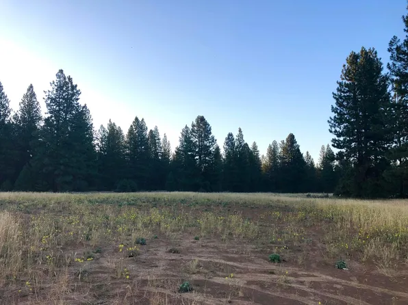 Black Ranch Rd, Burney, CA 96013