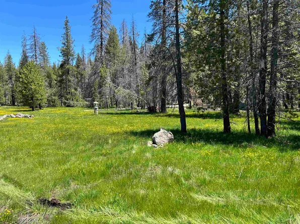 4040 & 4035 Section Old Red Bluff Rd, Chester, CA 96020