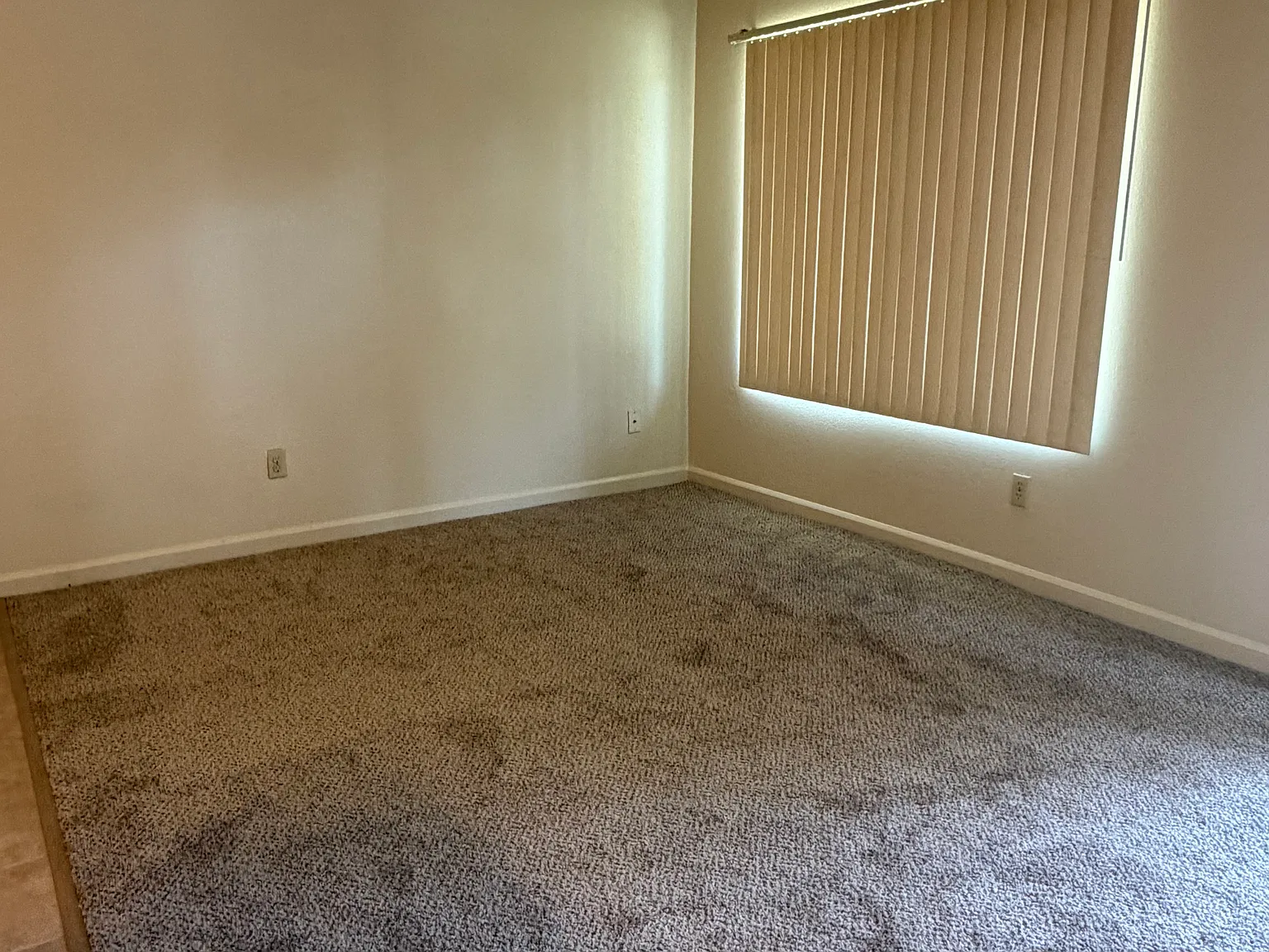 1 bed, 530 sqft, $1,300 — Photo 4