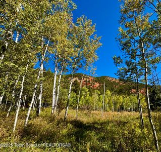 81 Hillside Cir, Thayne, WY, 83127