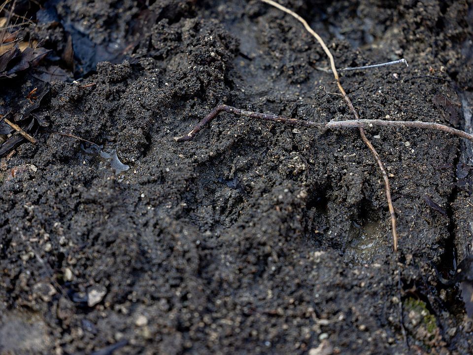 106th image of this home