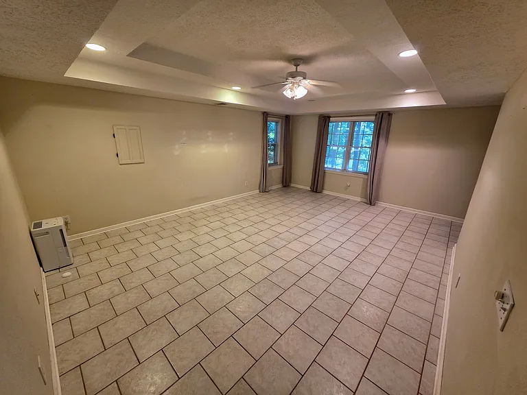Basement Living Area
