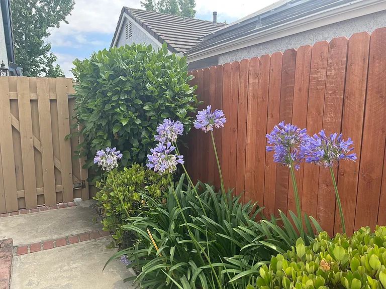 2841 Thicket Pl — Photo 40