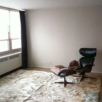 3950 N Lake Shore Dr #2321 — Photo 13