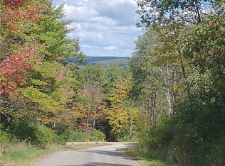 0 Dawson Hill Rd, Spencer, NY 14883