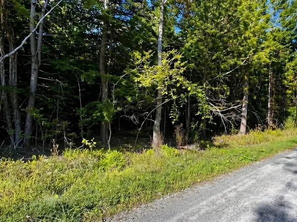 0 Gentian Hollow Rd, Becket, MA 01223