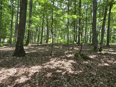 300 Canaan Ln, Rising Fawn, GA, 30738