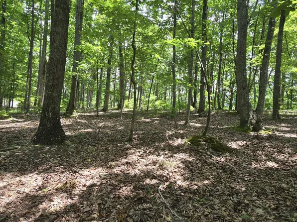 300 Canaan Ln, Rising Fawn, GA 30738