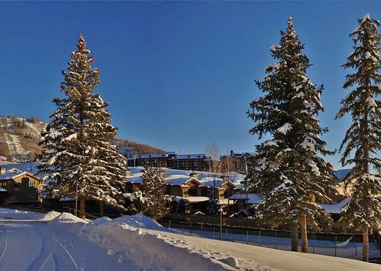 2045 Ski Time Square Dr #ID1564268P — Photo 60