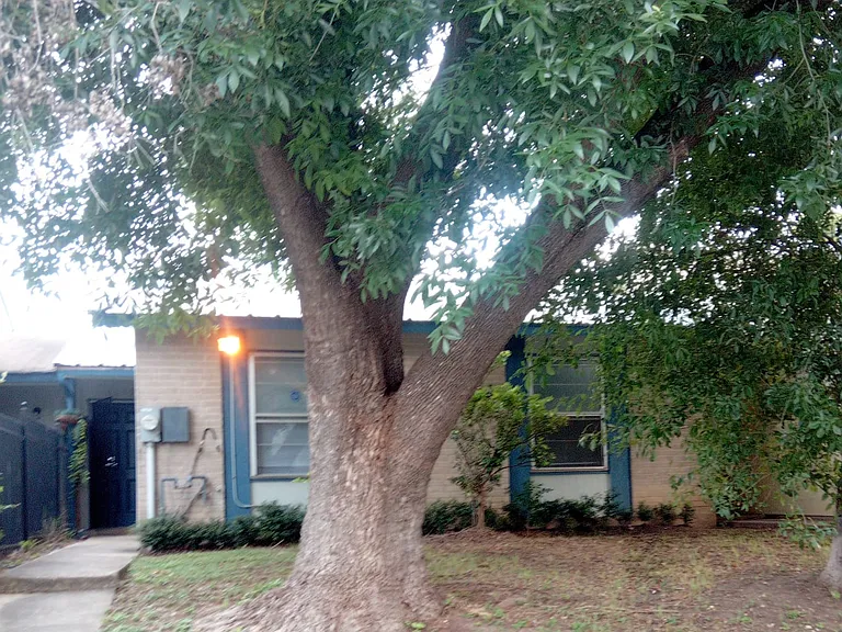 8119 Chipping — Photo 2