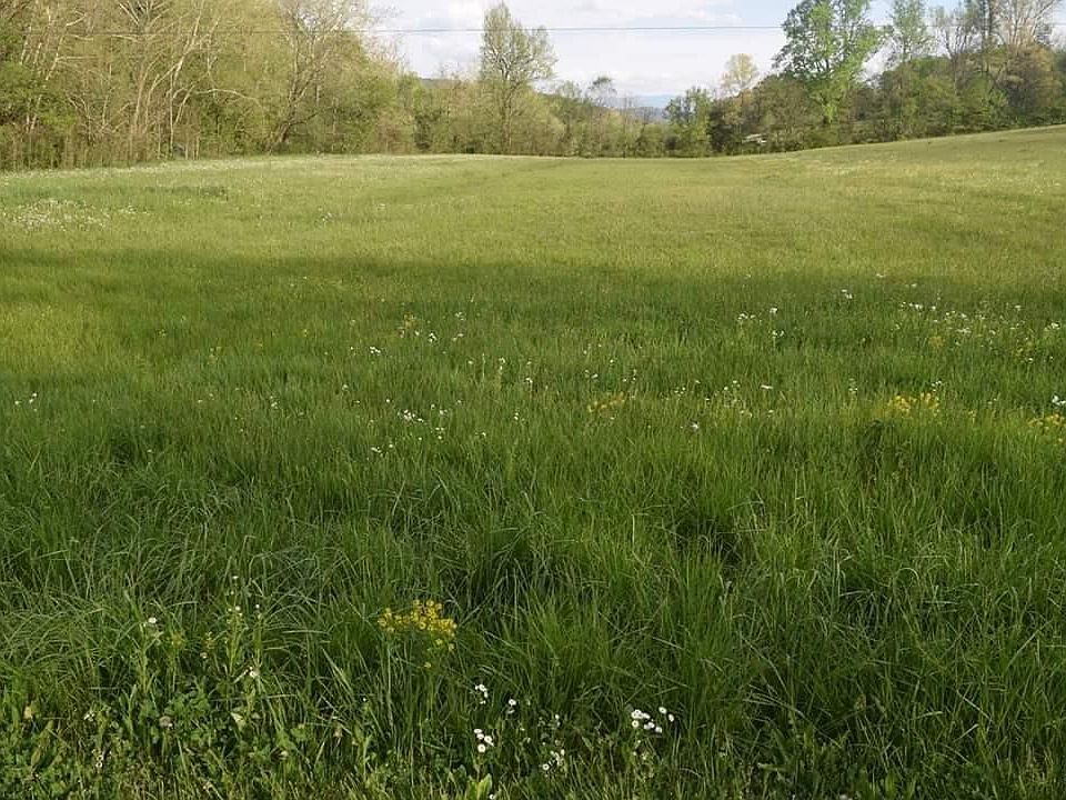 2nd image of 66 Flat Creek Rd Lot 31
