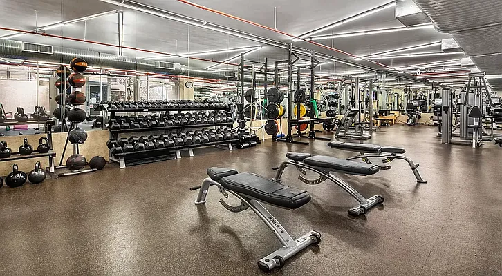 Rented by NY Living Solutions | media 14