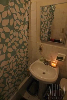 Rented by Alpha Properties NYC I LLC | media 4