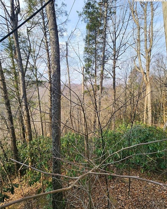 2nd image of TBD Poplar Ridge Road