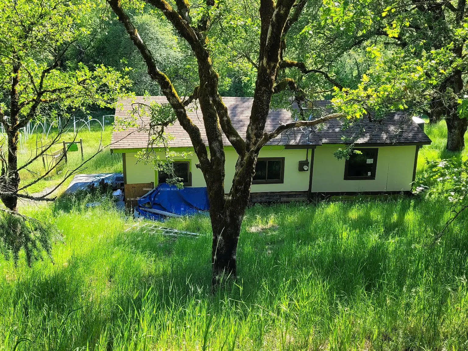 2 bed, $1,200 — Photo 1
