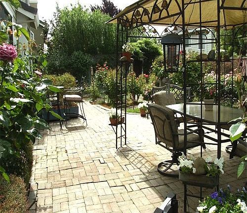 Stunning Back Yard