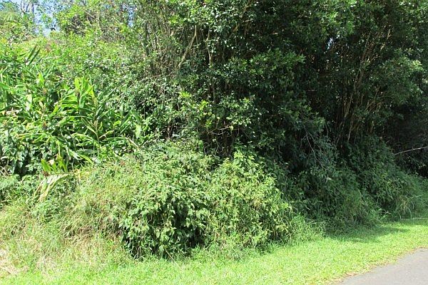 2nd image of Malumalu St Lot 22