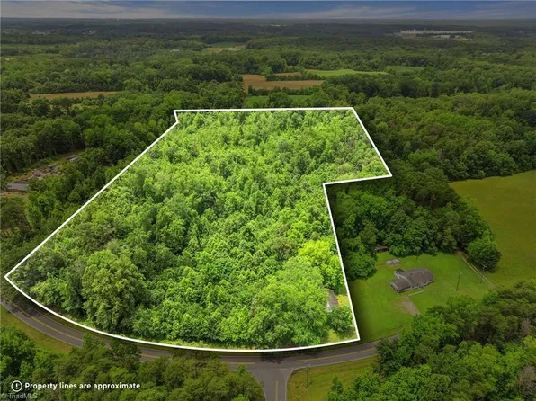 4401 Hines Chapel Rd, Mc Leansville, NC 27301