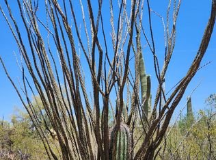 Xx E Derrio Rd, Marana, AZ 85658