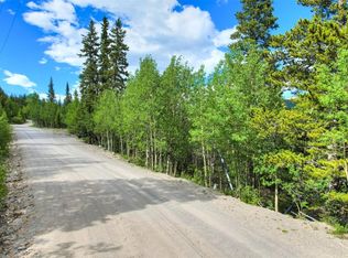 340 Mine Dump Rd, Alma, CO 80420