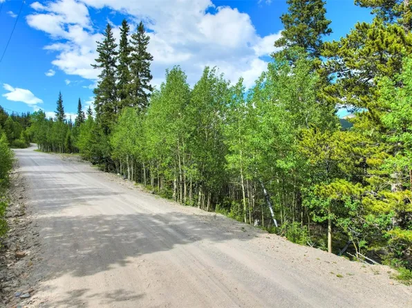 340 Mine Dump Rd, Alma, CO 80420