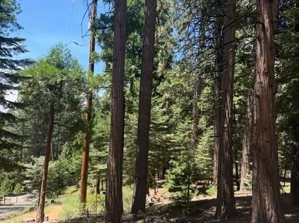 1783 Seminole Way, Arnold, CA 95223