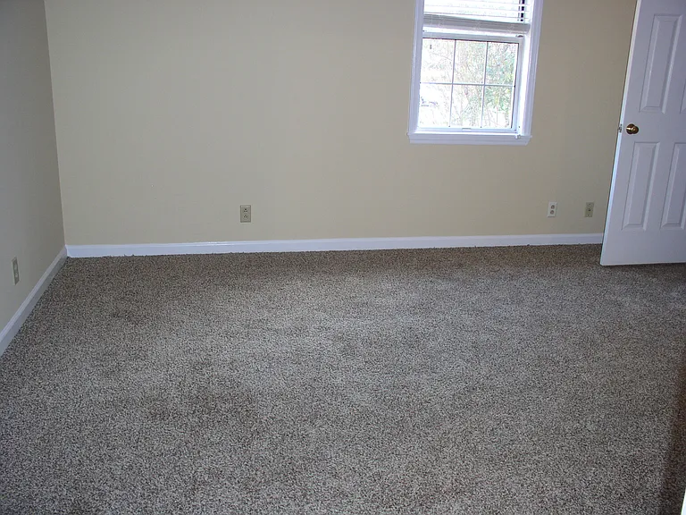 1315 Shearron Ct — Photo 4