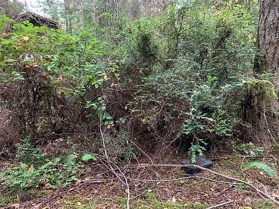 3rd image of 343 E Pointes Drive E