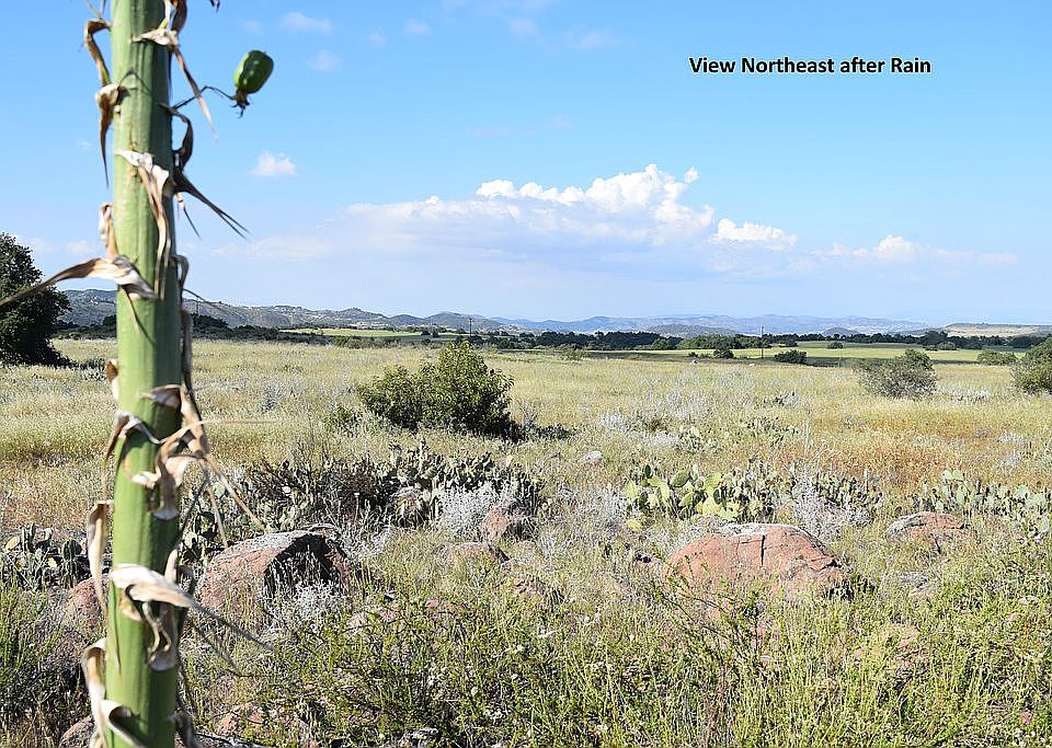 View of Land From East