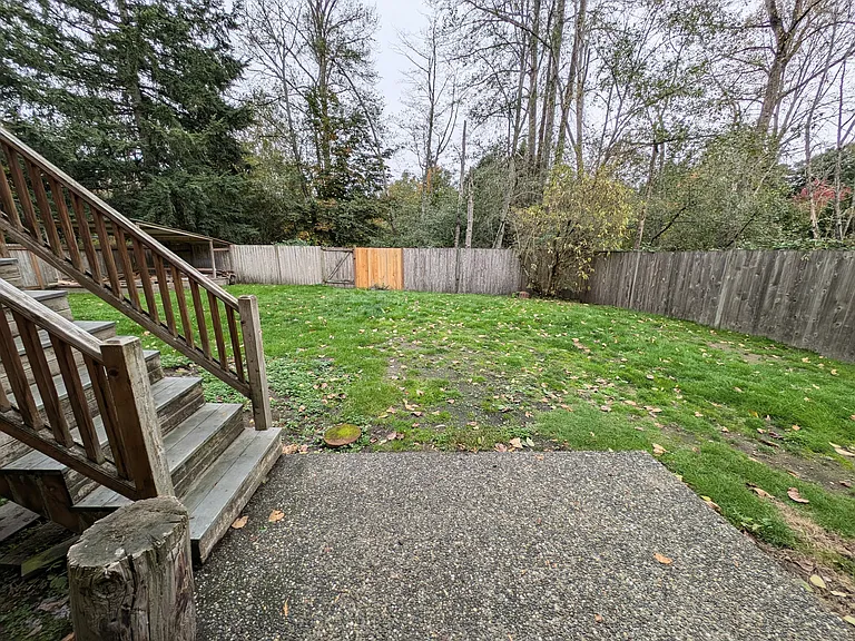 Backyard (3)